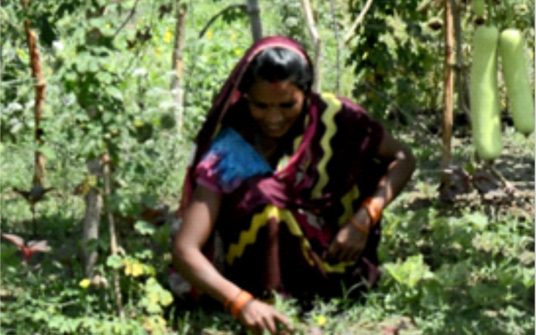 Woman Farmer demonstrates Woman Power