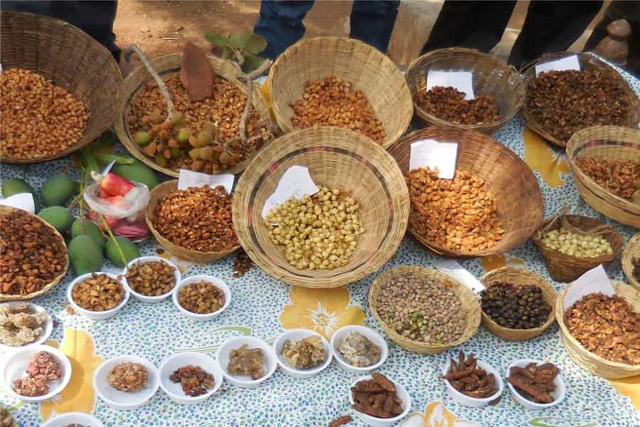 Agro-biodiversity