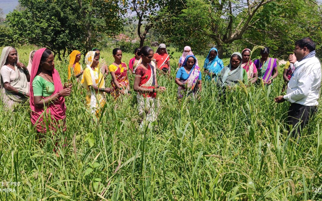 Agro-Biodiversity Conservation and Climate-resilient Agriculture