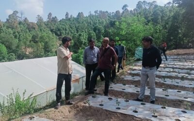 Visit of NABARD Team to Climate Change Adaptation Programme in Uttarakhand