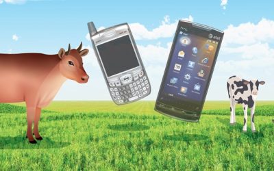 Evolution of Livestock Data Capture: BAIF’s Journey with Data Logger Devices