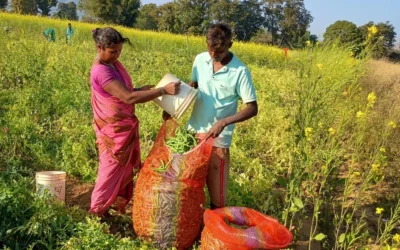 Solar Lift Irrigation Brings New Life to Upland Farms