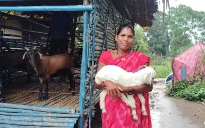 From Setback to Stability