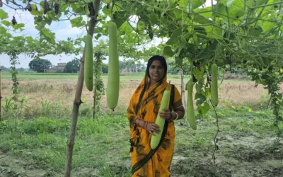 Reviving Soil, Reviving Livelihoods