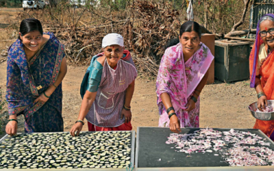 GEMS OF INDIA: RURAL SALVATION