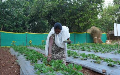 Women Farmers: Unsung Heroes of the fields