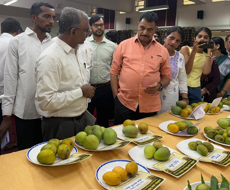 Mango-Unity-in-Diversity