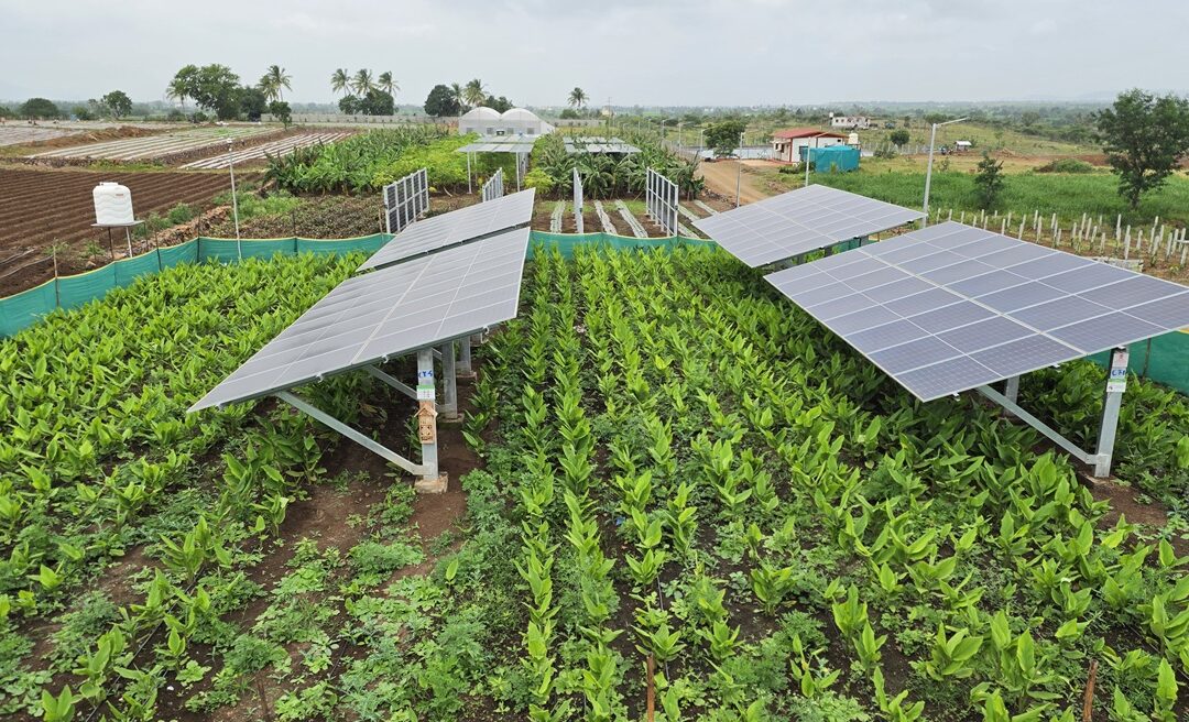BAIF’s Agrivoltaics Multi-Model