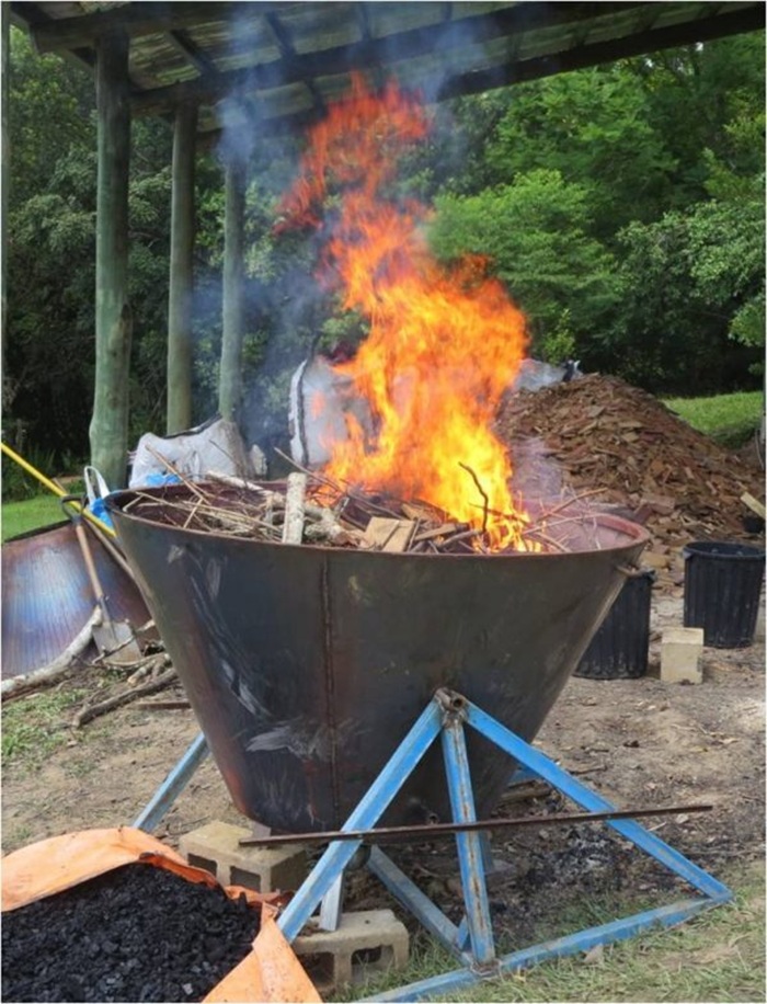 biomass