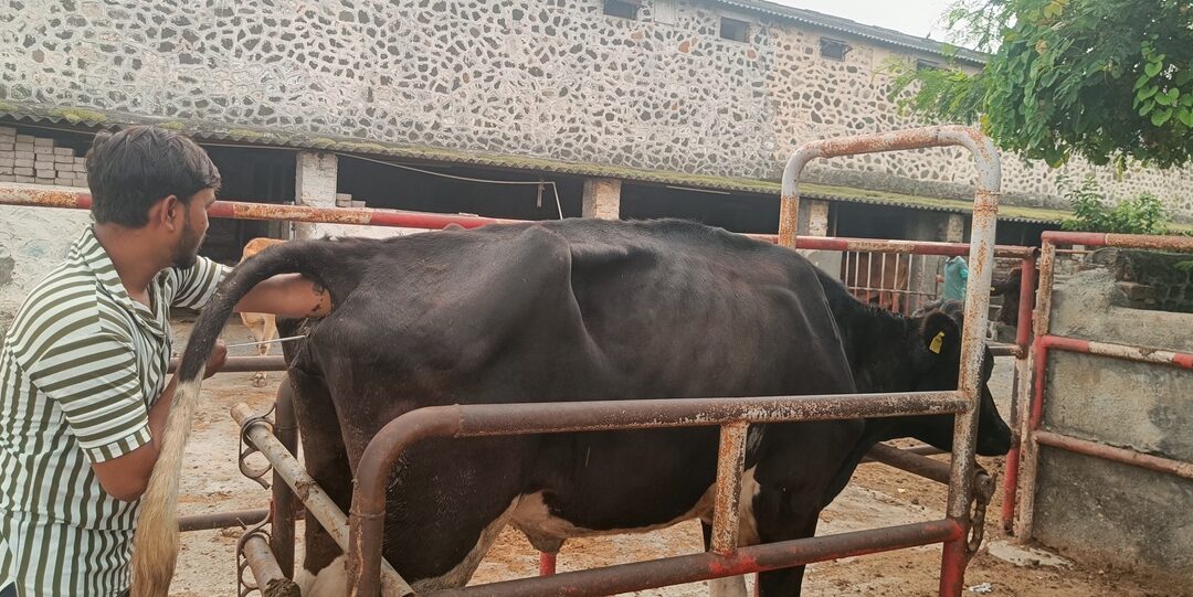 Training in Artificial Insemination Technique: Opportunity for Rural Employment